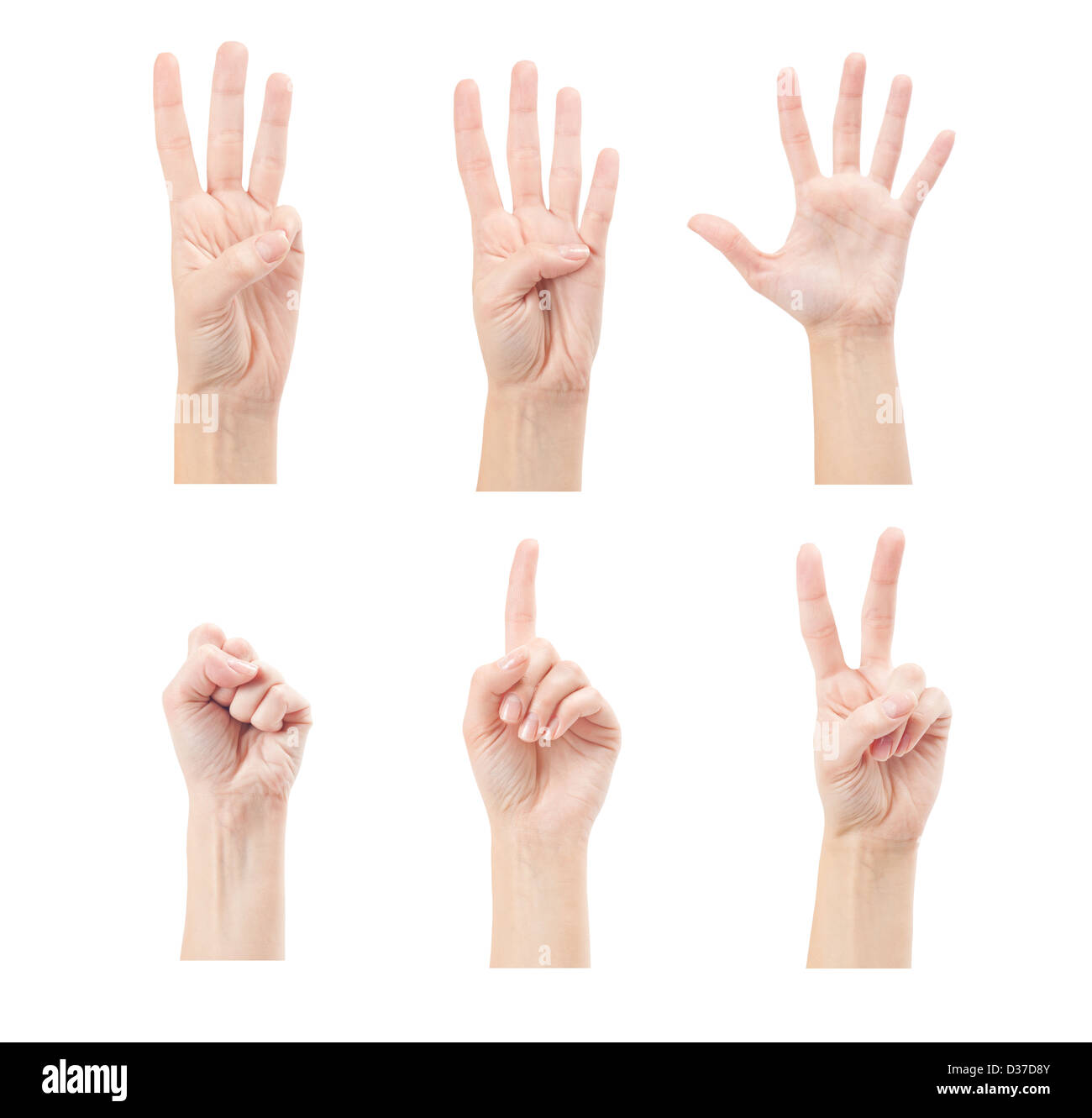 Zählen Frau Hände (0 bis 5) isoliert auf weißem Hintergrund Stockfoto