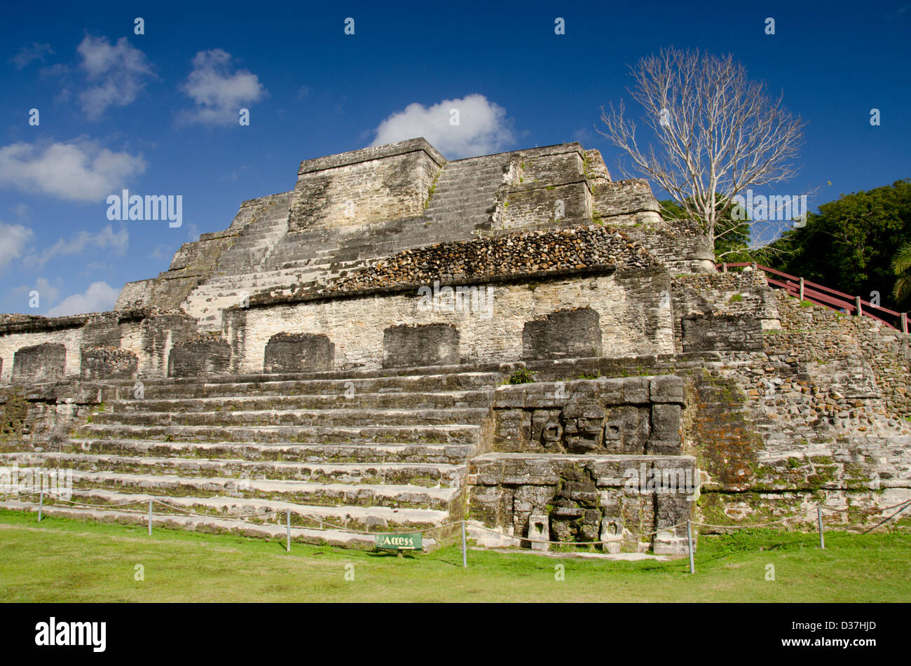 Belize, Altun Ha. Altun Ha, Ruinen der alten Maya ceremonial Site aus der klassischen Periode (1100 v. Chr. bis AD 900). Stockfoto