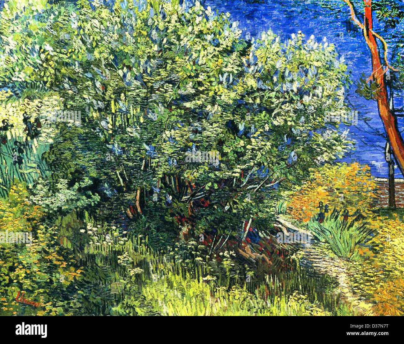 Vincent Van Gogh, Flieder Bush. 1889. Post-Impressionismus. Öl auf Leinwand. Eremitage, St. Petersburg, Russland. Stockfoto