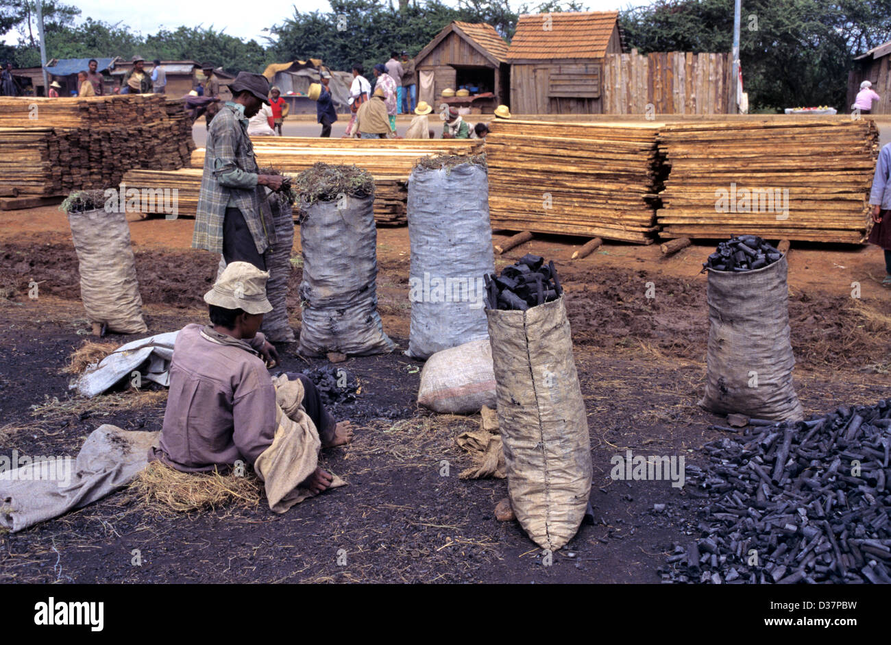 Holzkohlemacher Verkauf von Säcken von Holzkohle, Holz & Brennholz oder Holzverkäufer auf der Roadside Ansirabe Madagaskar Afrika Stockfoto