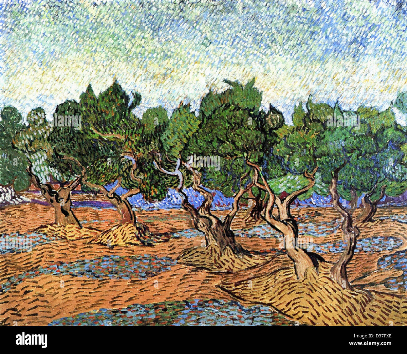 Vincent Van Gogh, Olive Grove. 1889. Post-Impressionismus. Öl auf Leinwand. Van Gogh Museum, Amsterdam, Niederlande. Stockfoto