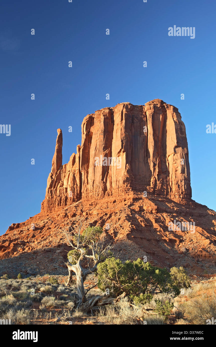 West-Handschuh, Monument Valley, Arizona Utah borderUSA Stockfoto