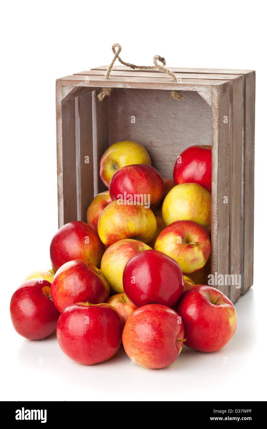 Frische rote Bio-Äpfel in Holzkiste auf weißem Hintergrund Stockfoto