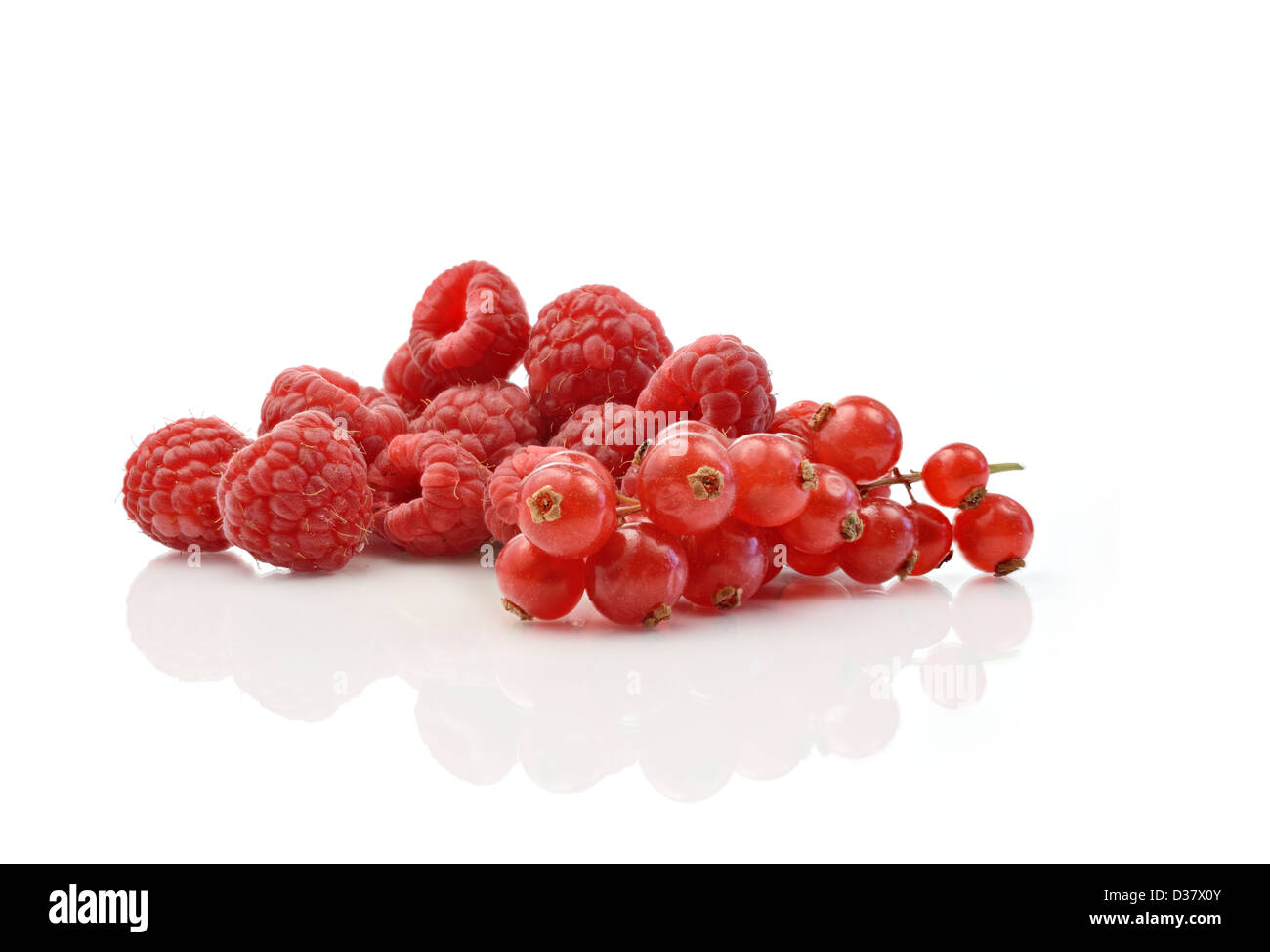 Studio-Makro von frischen saisonalen Beeren auf einer reflektierenden Oberfläche vor einem weißen Hintergrund. Kopieren Sie Raum. Stockfoto