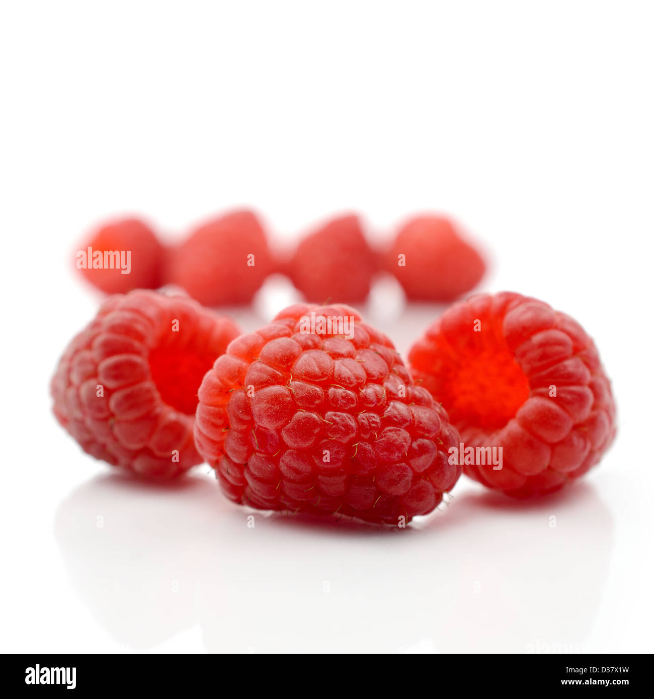 Studio-Makro von Himbeeren auf einer reflektierenden Oberfläche vor einem weißen Hintergrund. Stockfoto