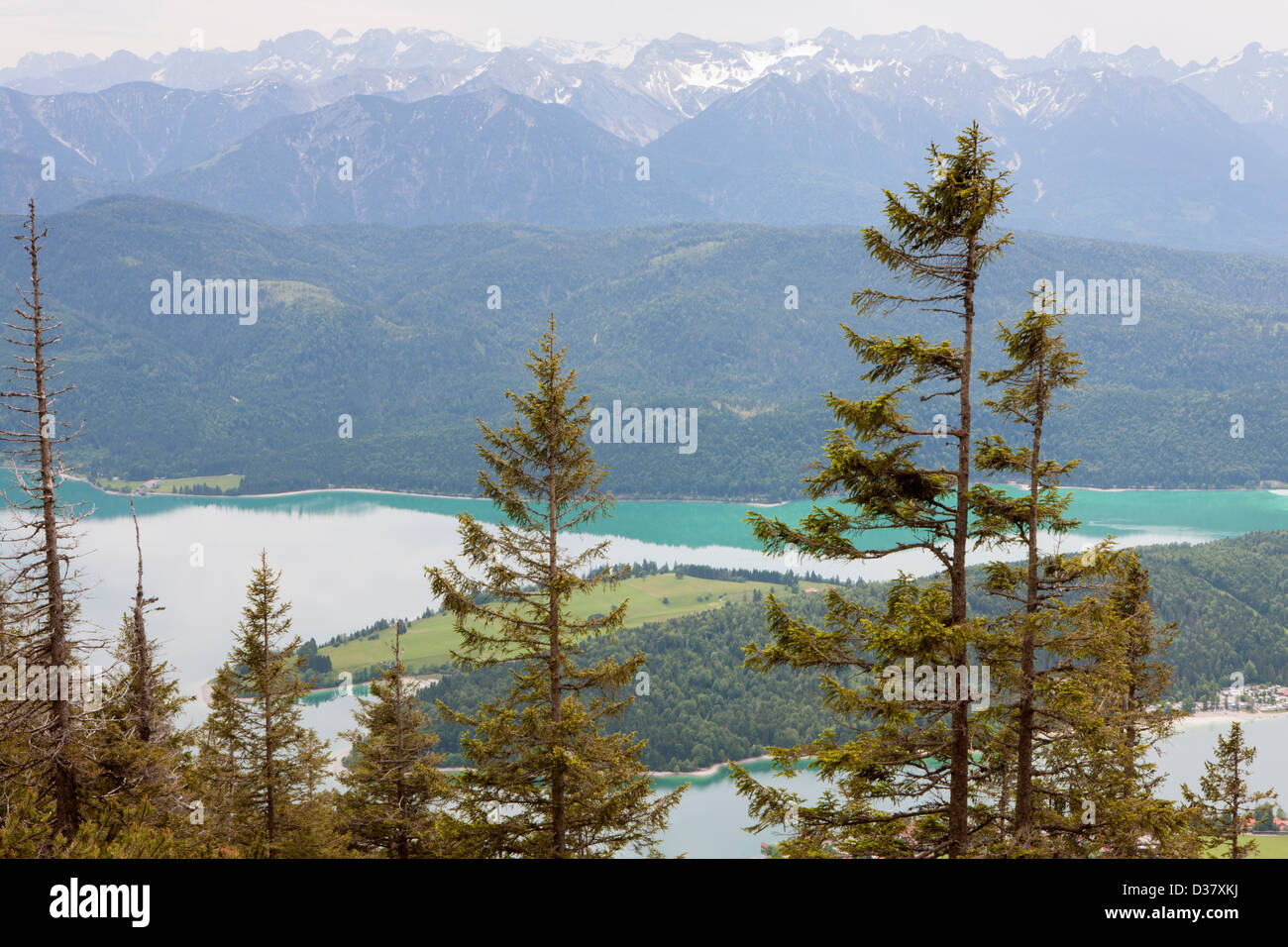 Die Alpen und Walchensee vom Herzogstand, Bayern, Deutschland Stockfoto