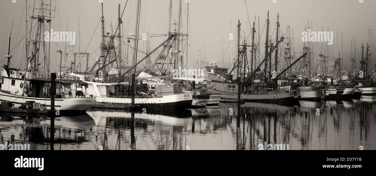 Boote mit Nebel in Newport Harbor. Oregon Stockfoto