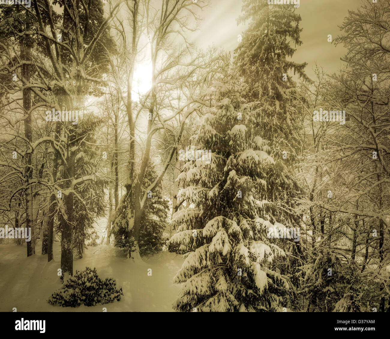 DE - Bayern: Winterlandschaft entlang Fluss Isar bei Bad Tölz Stockfoto