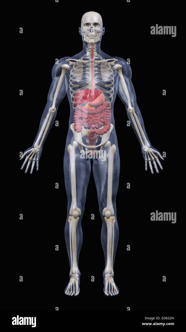 Digital generiert aus stehenden männlichen Ebenbild Stockfoto