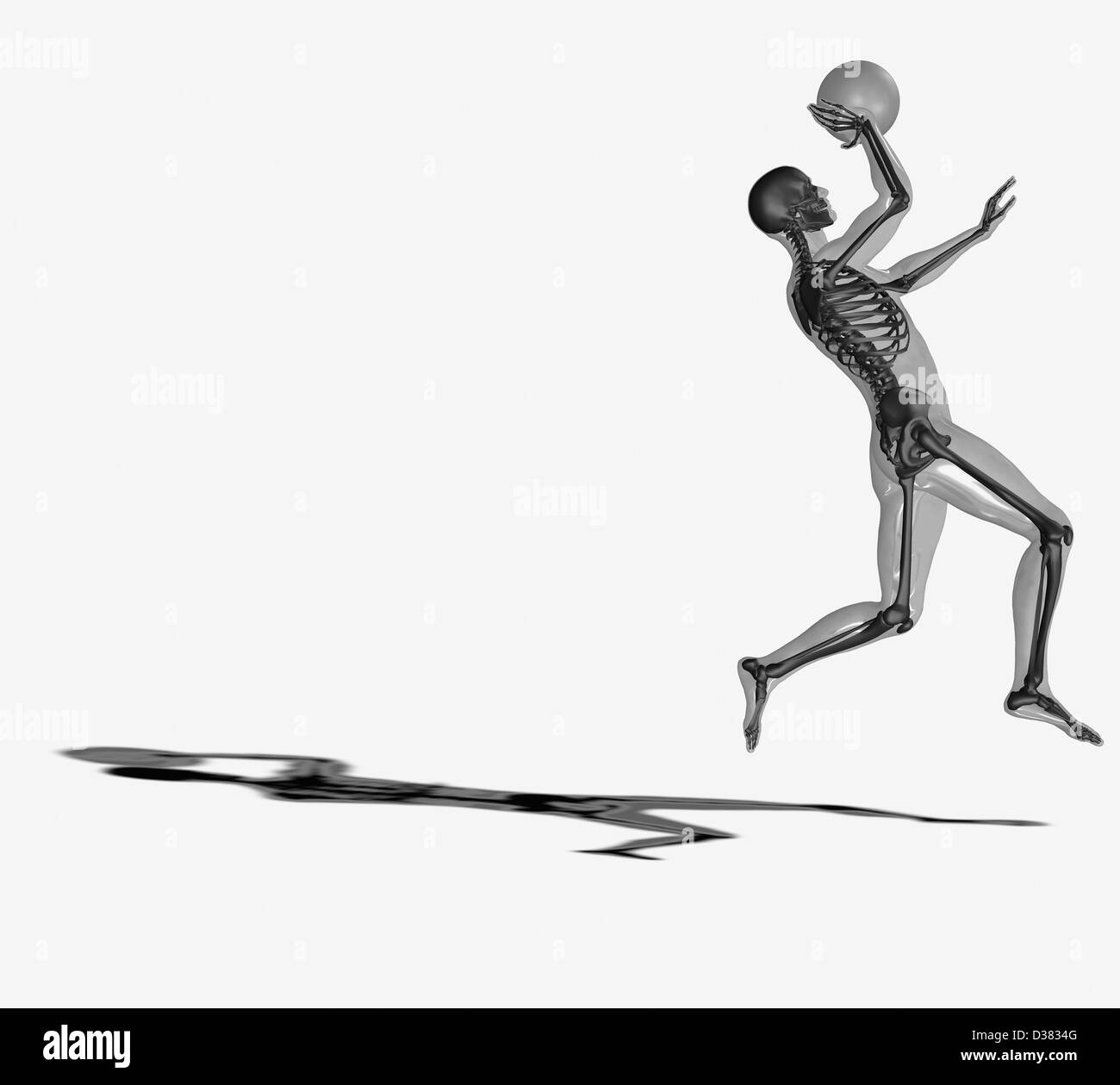 Menschliches Skelett Basketball spielen Stockfoto