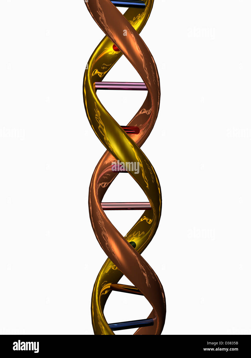 Digital erzeugte Bild Doppel-Helix Stockfoto