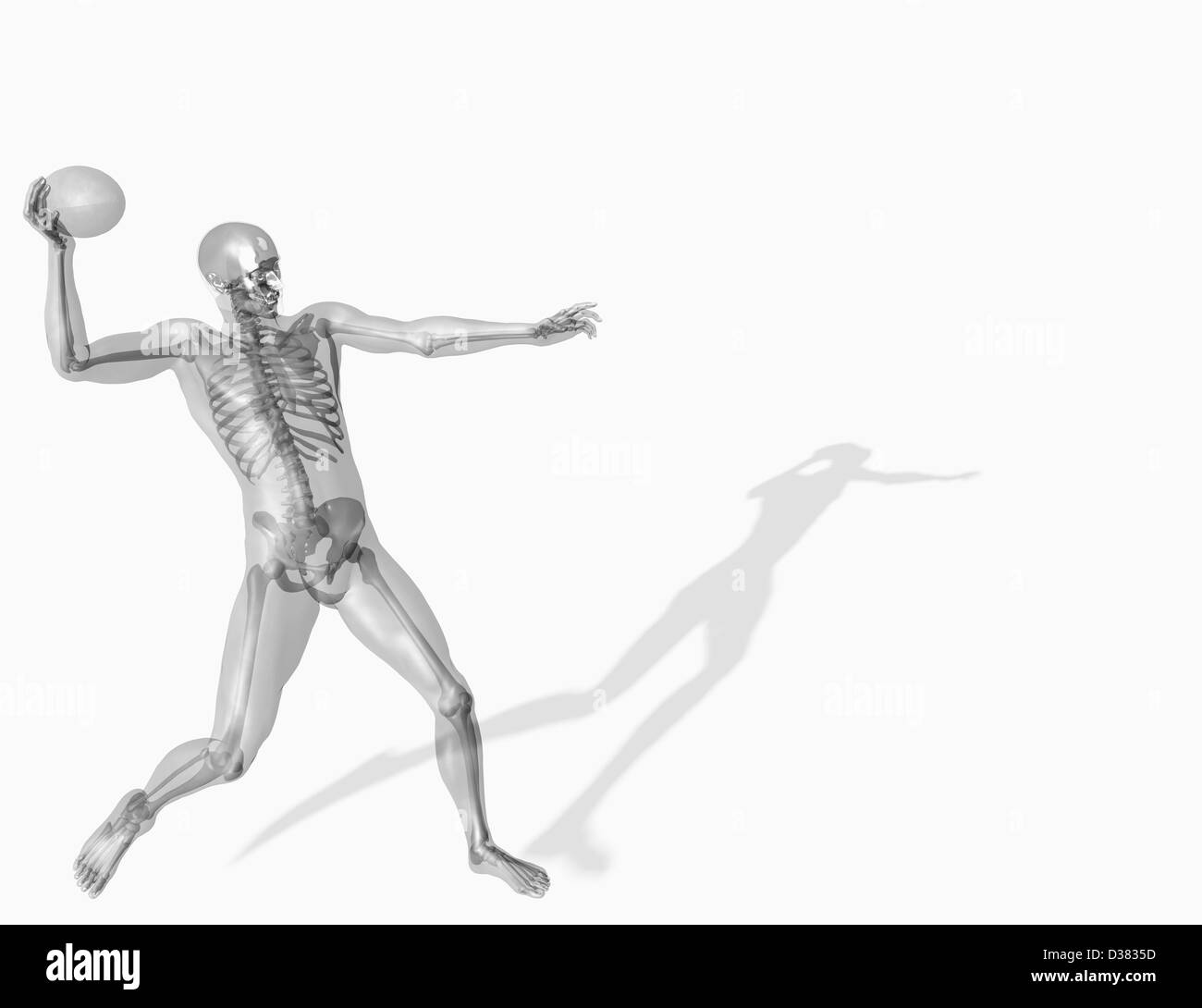 Menschliches Skelett wirft ball Stockfoto