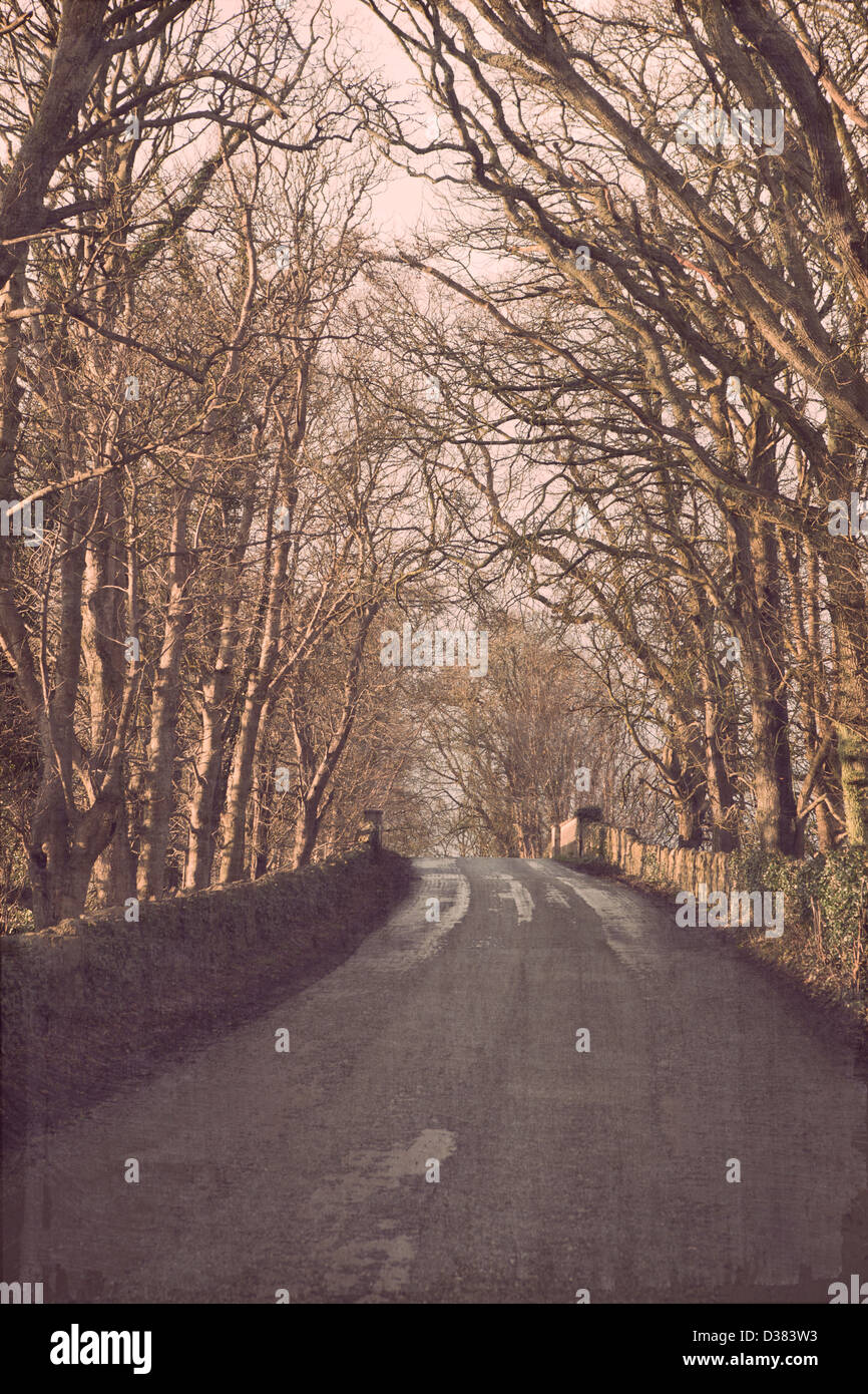 Eine alte Straße in Celbridge, Co. Kildare im Winter mit der Papierstruktur. Stockfoto