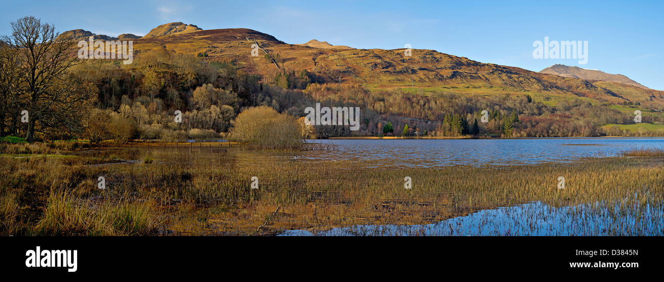 Westlichen Ufer des Loch Tay, Schottland, Blick über das Wasser zu den bewaldeten unteren Hängen des Ben Lawers und die Tarmachan-Hügel Stockfoto