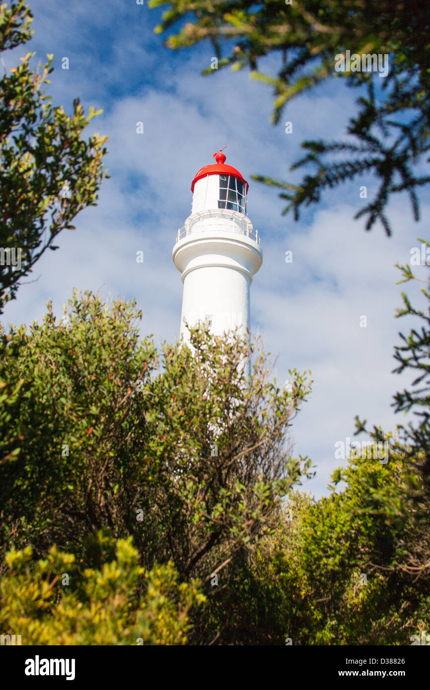 Bild entlang der great Ocean Road, Australien Stockfoto