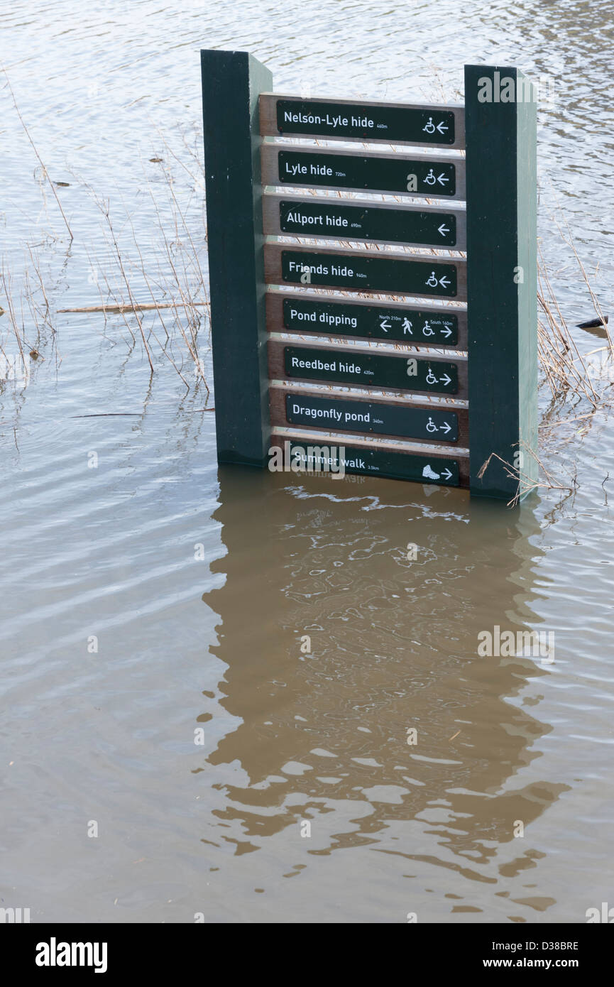 Ein überflutet Schild am Welney Wildfowl Feuchtgebiete Trust Center Norfolk UK. Pegelstände der Flüsse wurden extra hohe Überschwemmungen Pfade Stockfoto