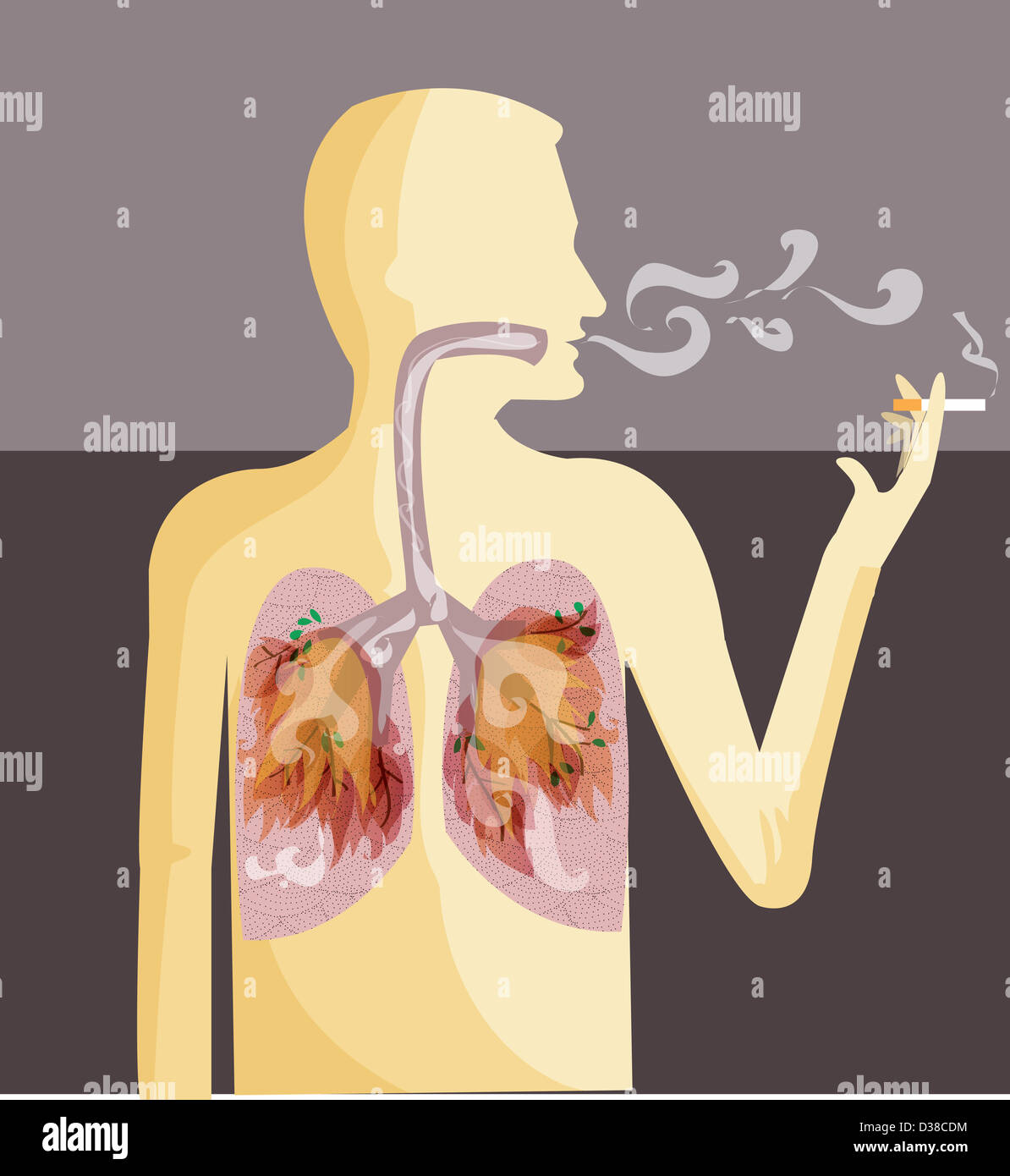 Anschauliches Bild der menschlichen Darstellung qualmender Zigarette Lungenkrebs Darstellung Stockfoto
