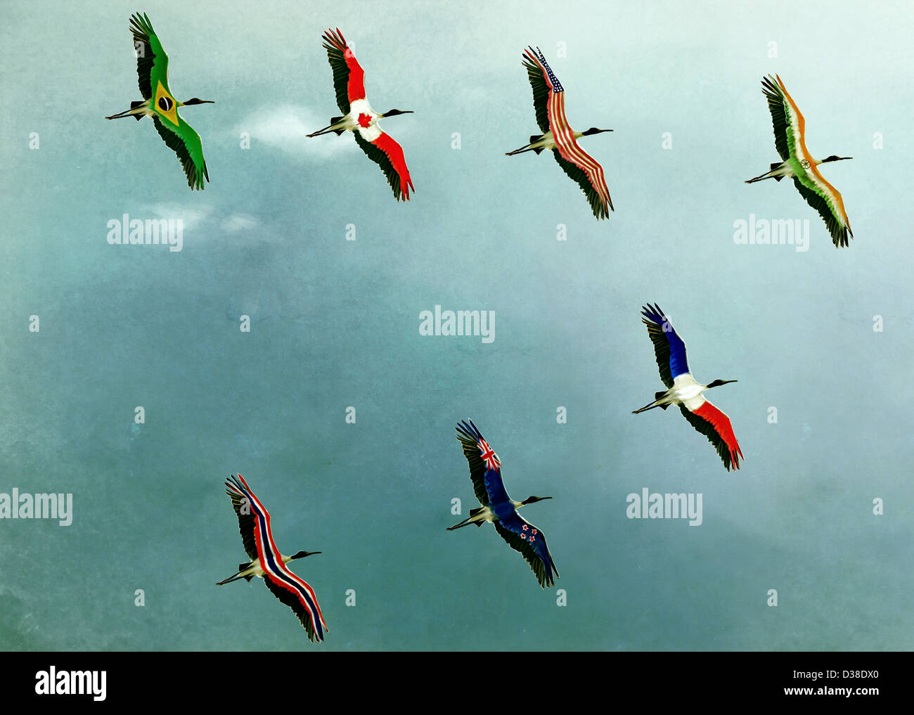 Anschauliches Bild der Vögel im Himmel, globales Geschäft darstellt Stockfoto