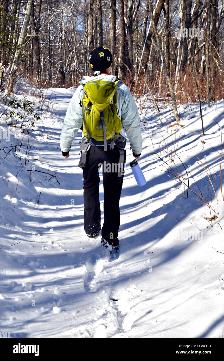 Ein Wanderer auf einem Pfad in einem wilden und landschaftlich National Waldgebiet. Stockfoto