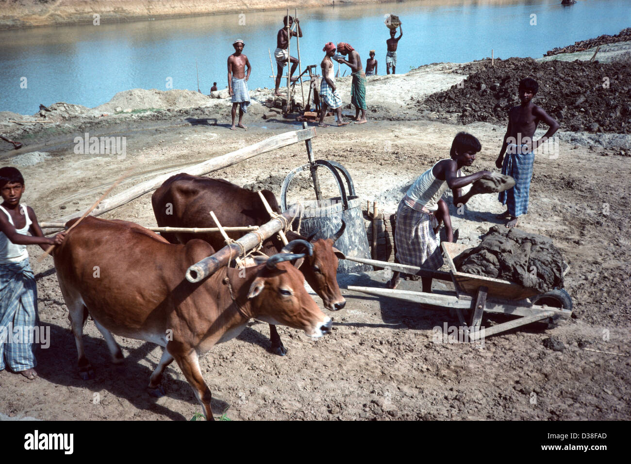 Arbeiter, die eine vom Vieh getriebene Lehmpegmühle am Fluss betreiben und Lehm an die örtlichen Ziegelwerke liefern. Nahe Jamalpur, Bangladesch Stockfoto