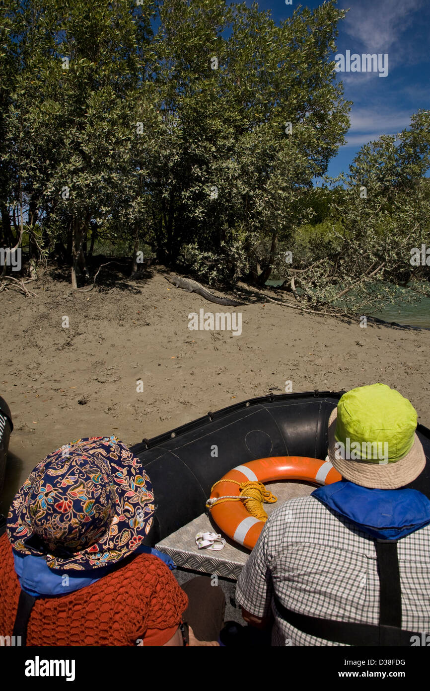 Passagiere aus der Aussie Expedition Kreuzer Orion auch einen Blick auf eine schleichende Salzwasser-Krokodil, Hunter River, Australien Stockfoto