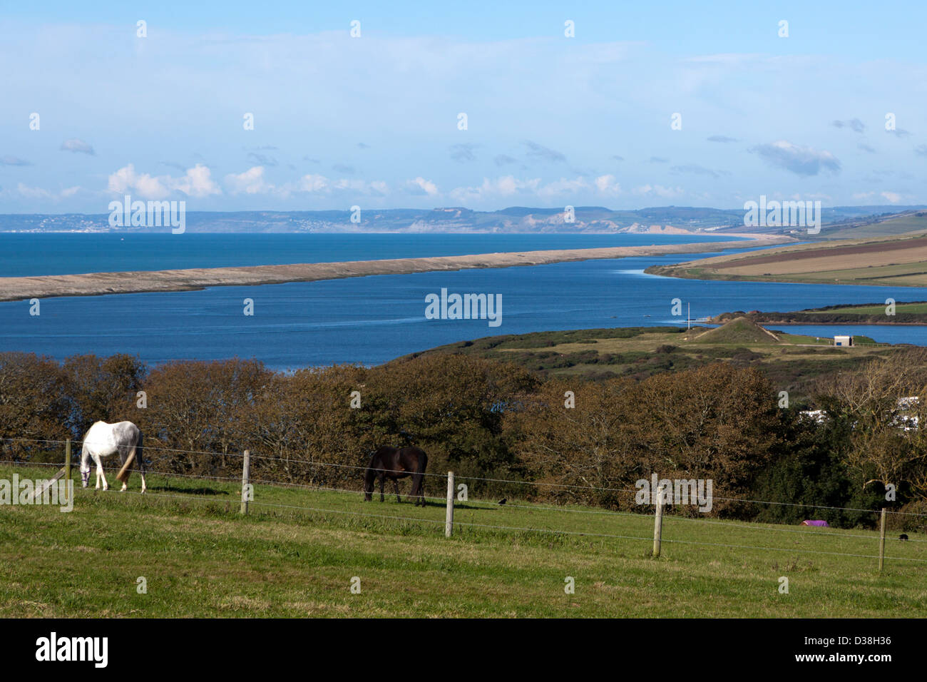 Panorama Sweep von Chesil Beach in Dorset mit Pferde grasen im Vordergrund Stockfoto