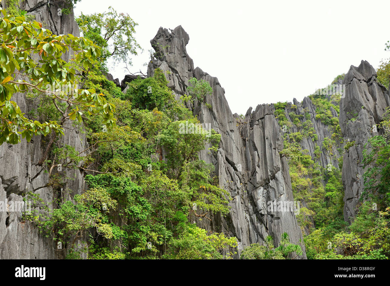 Reiner Kalkstein Felsen Aufschluss - Coron, Palawan, Philippinen Stockfoto