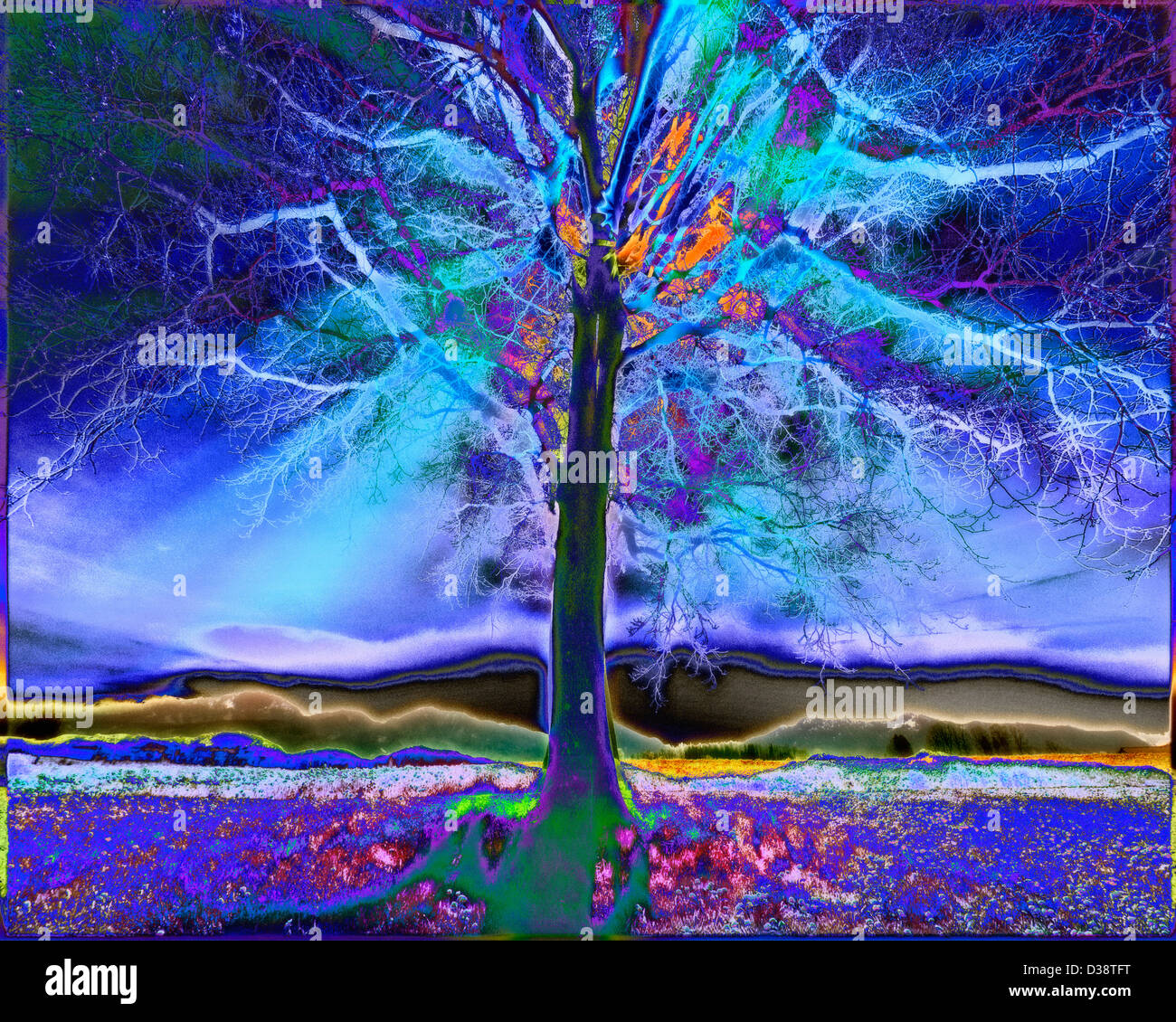 DIGITALE Kunst: Einsamer Baum Stockfoto