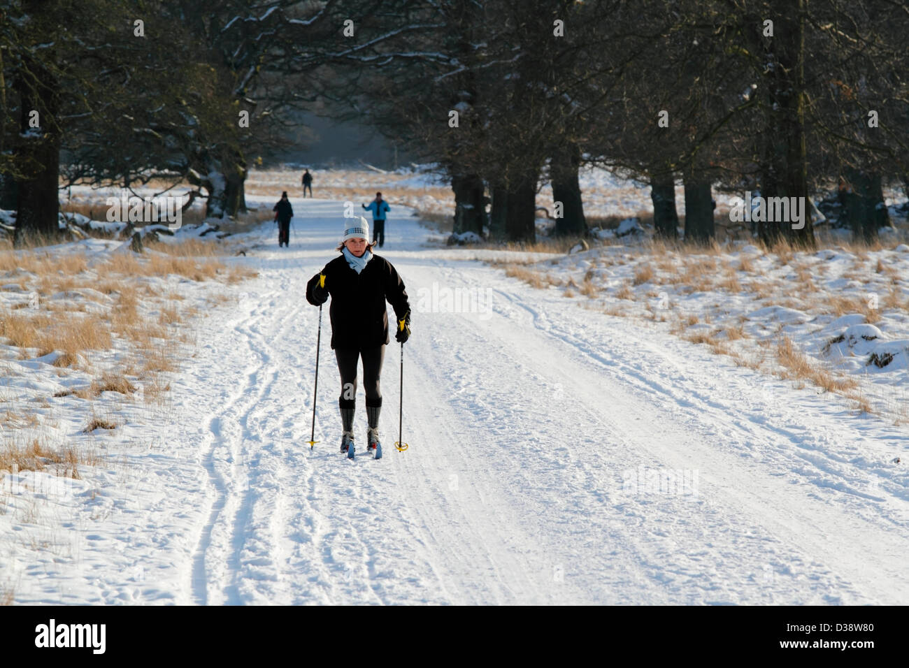 Februar, Mittwoch 13, 2013 – Dyrehaven, Eremitage, nördlich von Kopenhagen. Hervorragende Skibedingungen in Dänemark in dieser Woche.  In Dänemark, auf jeden Fall die wenigsten Ski freundlich von den skandinavischen Ländern, diese paar Tage bieten seltene Möglichkeiten zum Langlaufen. Der dänischen Natur Agentur hat mehrere Pisten ganz über dem Land eröffnet. Im Dyrehaven eine beliebte 10km lange Loipe zusammen mit dem Kopenhagen-Ski-Club. Sonnenschein und Temperaturen um den Gefrierpunkt, 10-15cm frostigen Schnee und sogar die Möglichkeit für eine weitere Ski Reise Morgen. Stockfoto