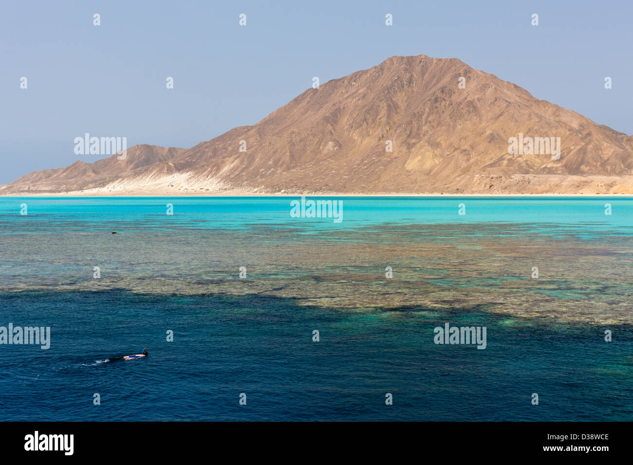 Riffe von Zabargad Island, Rotes Meer, Ägypten Stockfoto