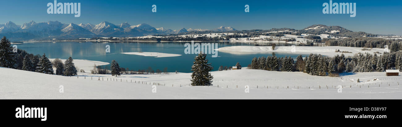 Panorama Blick über den See Forggensee zu den Alpen am sonnigen Wintertag genannt in Bayern, Deutschland, Stockfoto