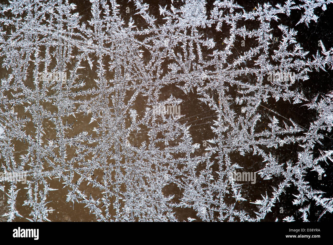 Eiskristalle / frost Blüten bilden auf gefrorenen Fensterscheibe während der Raureif im kalten winter Stockfoto