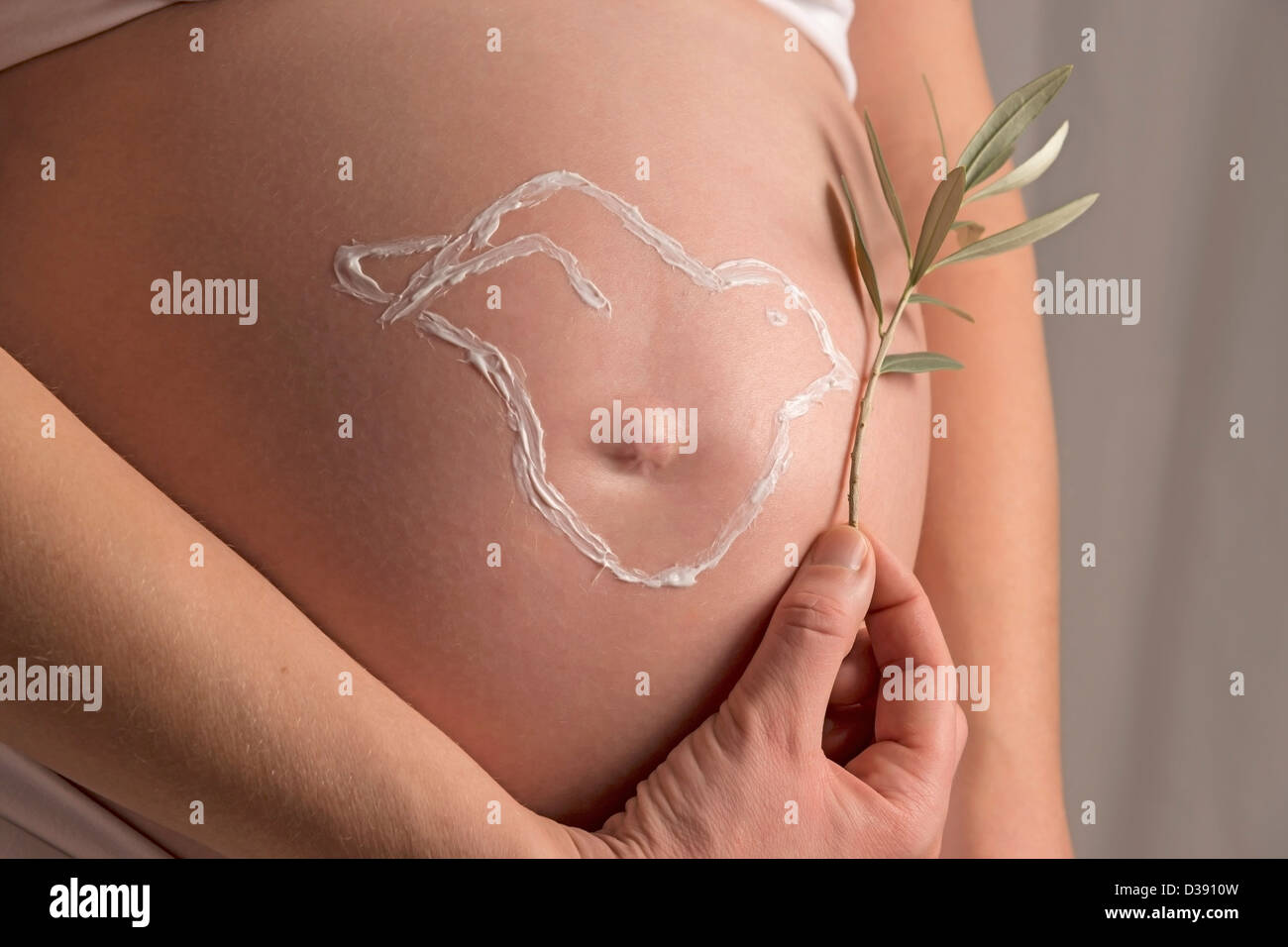 Schwangere Frau hält einen Olivenzweig auf die Crème Taube von ihrem Baby-Bauch Stockfoto