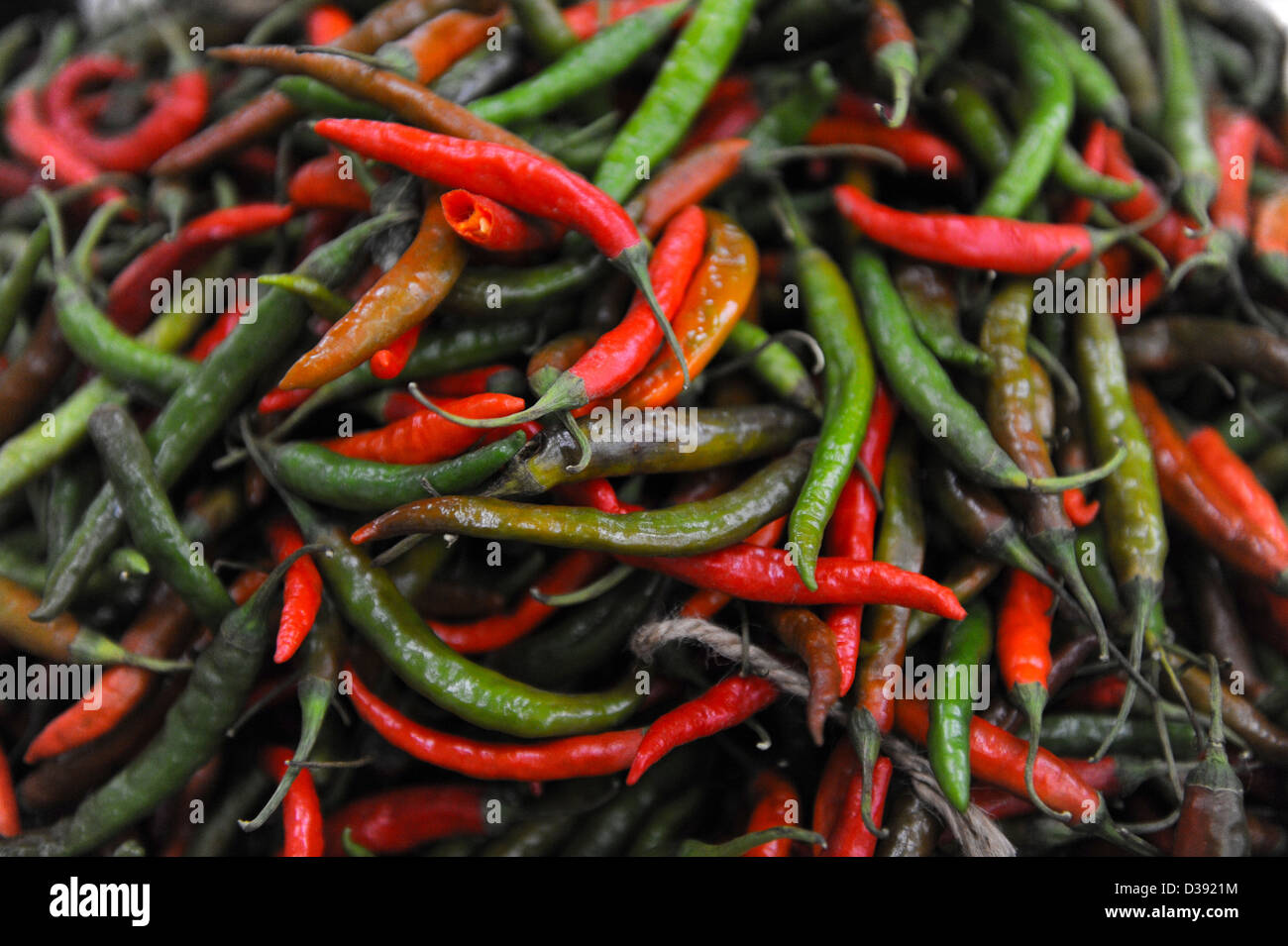 Full Frame Schuss der roten und grünen Chilischoten auf Verkauf am Gemüsemarkt in Thimphu, Bhutan. Stockfoto