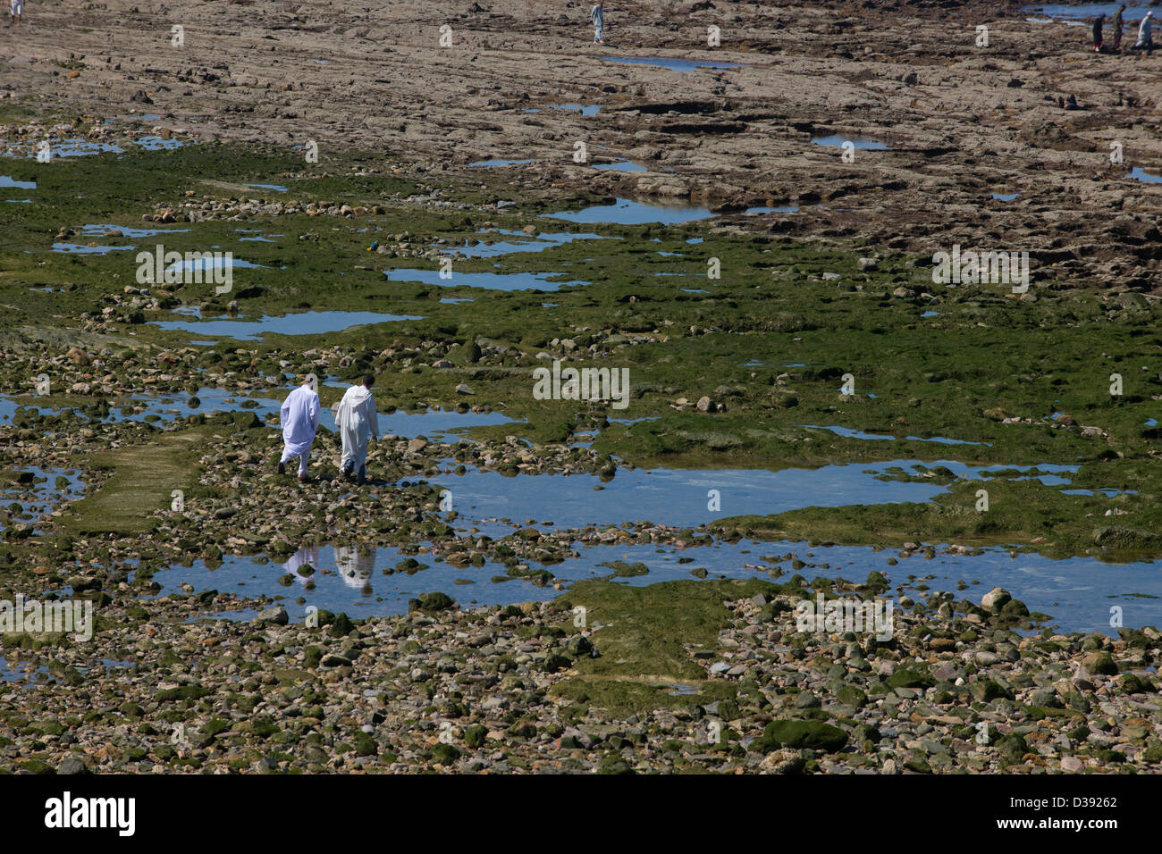 Marokkanische Männer tragen Jalabiyas zu Fuß vorbei rock Pools auf der felsigen Küste vor der Corniche, Casablanca, Marokko Stockfoto