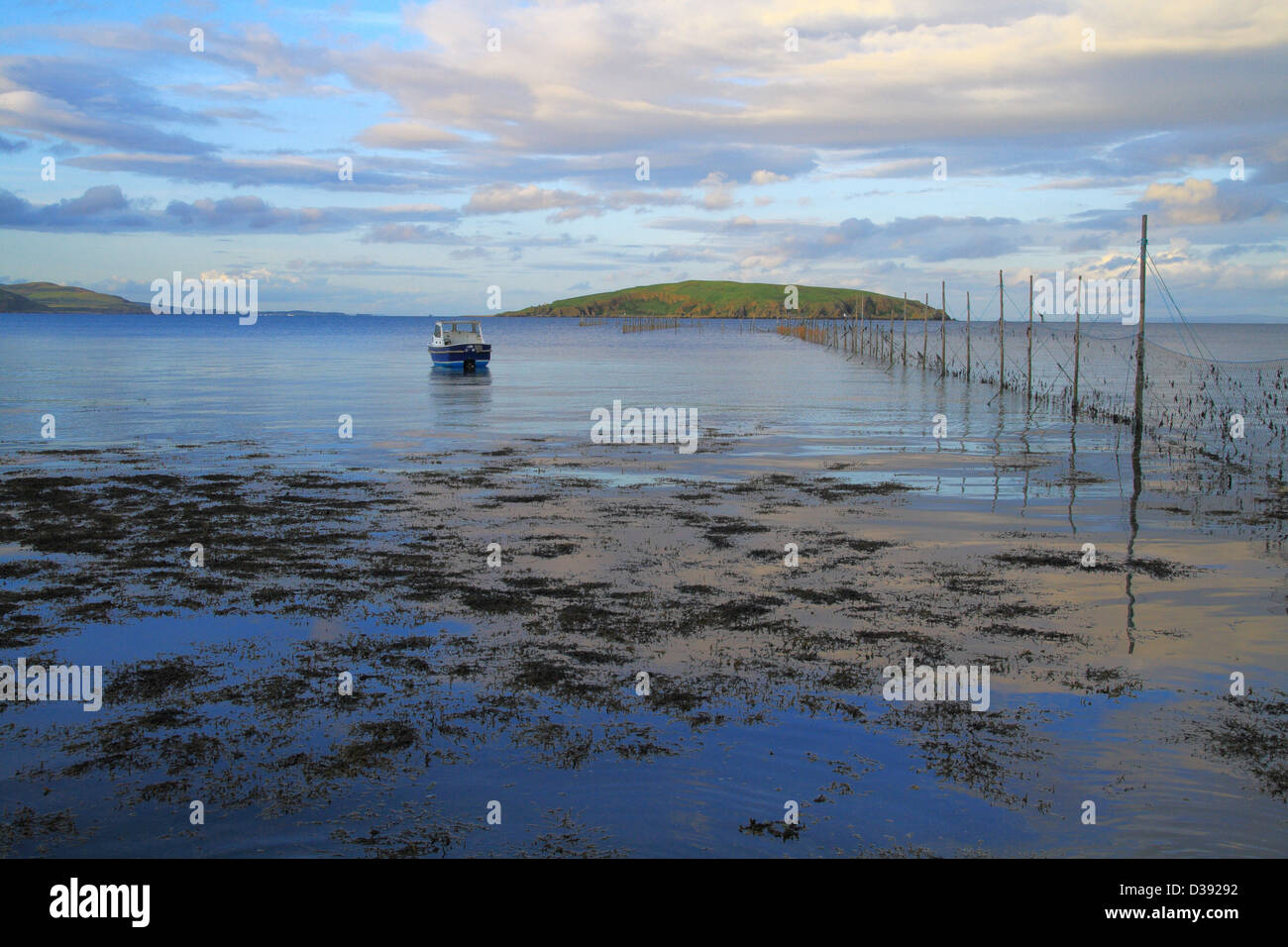 Auchencairn Bucht mit Heston Insel, Dumfries and Galloway, Schottland, Großbritannien Stockfoto