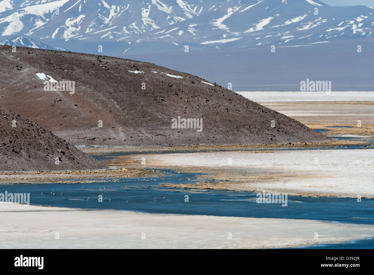 Laguna Santa Rosa Parque Nacional Nevado Tres Cruces hohen Anden Chile Südamerika Stockfoto