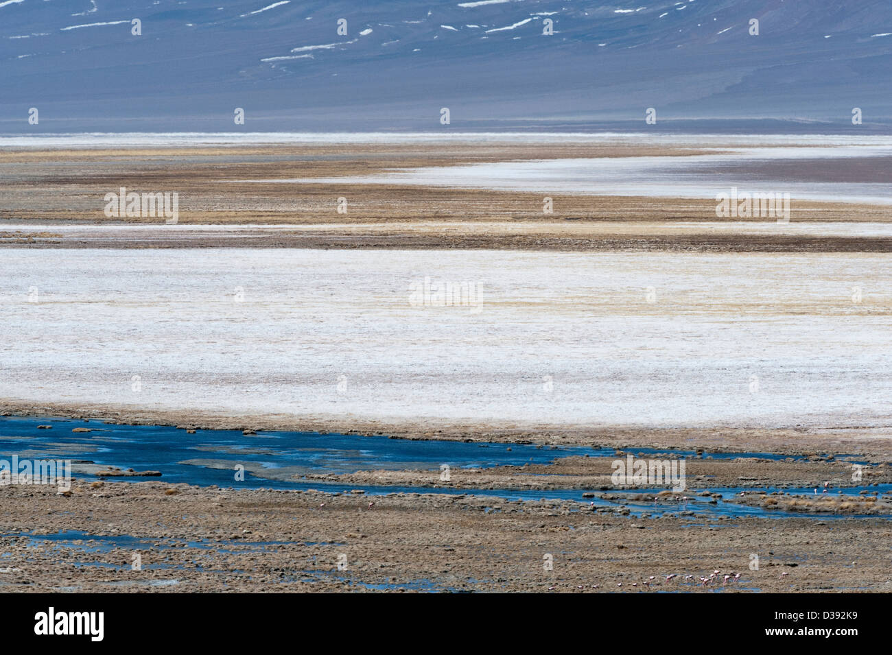 Laguna Santa Rosa Parque Nacional Nevado Tres Cruces hohen Anden Chile Südamerika Stockfoto
