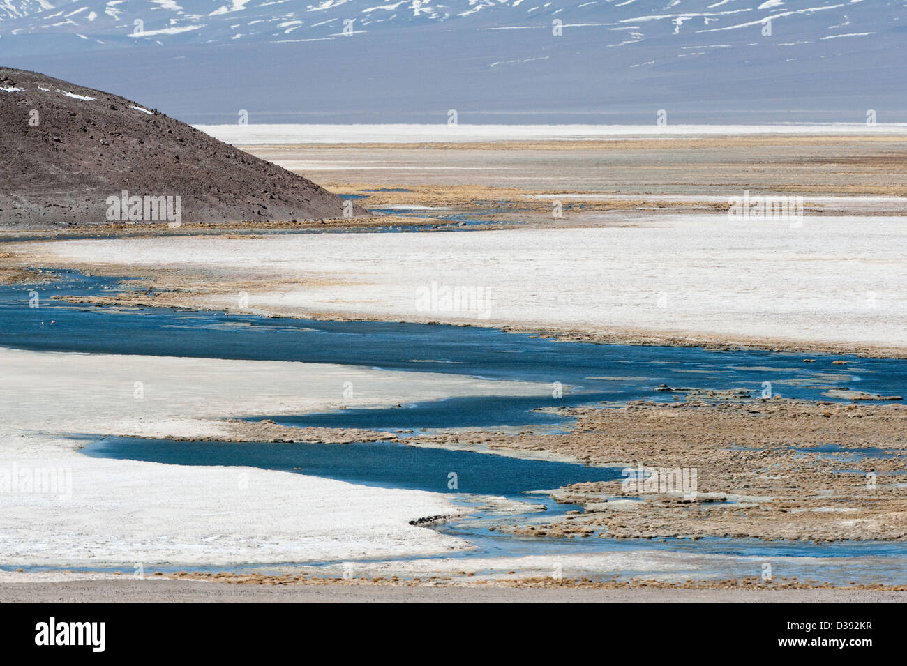 Laguna Santa Rosa Parque Nacional Nevado Tres Cruces hohen Anden Chile Südamerika Stockfoto