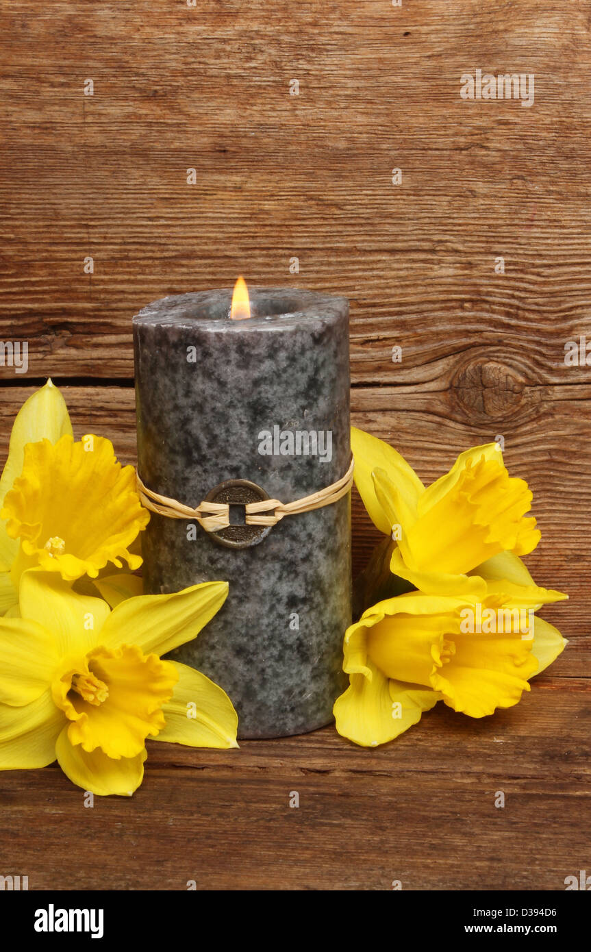 Brennende meliert grau Feng Shui Kerze und Narzissen vor dem Hintergrund von verwittertem Holz Stockfoto