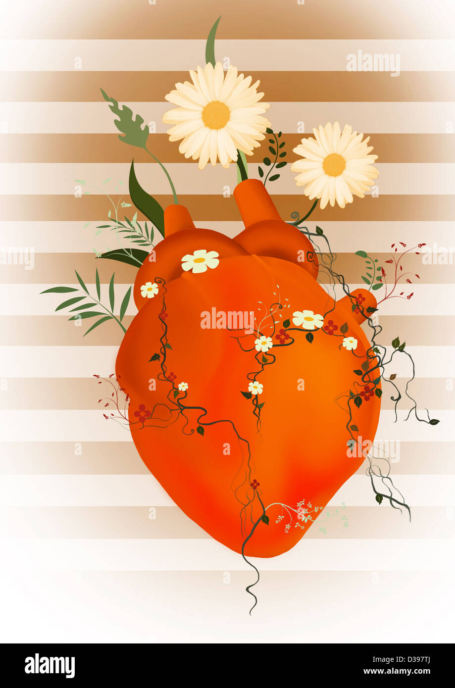 Menschliches Herz mit Blumen wachsen Darstellung pflanzliche Medikamente Stockfoto
