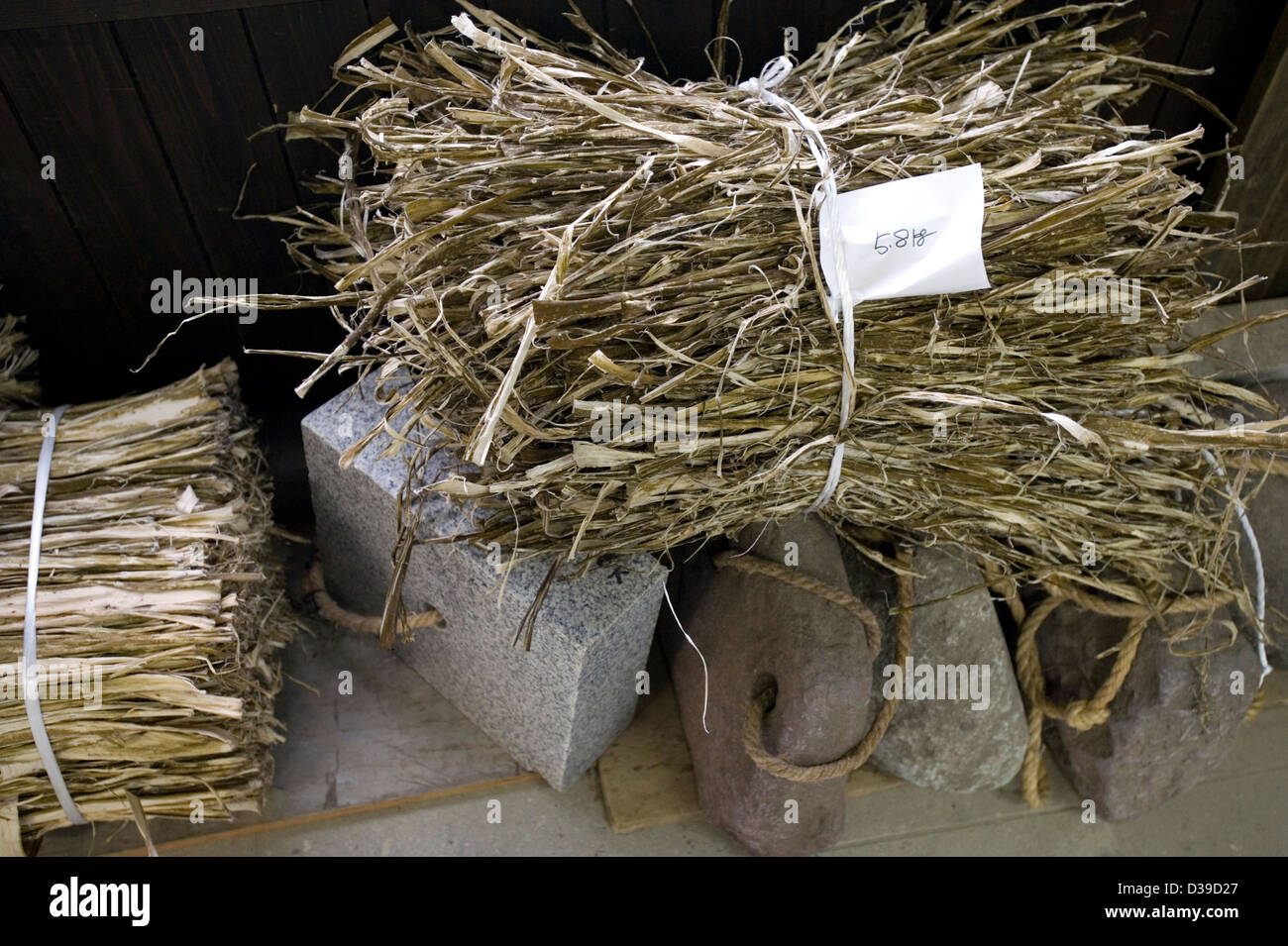 Geschälte und getrocknete Maulbeerrinde in Bündeln ist die Rohfaser, die bei der Herstellung von traditionellem japanischem Washi-Papier, Takefu, Fukui, Japan, verwendet wird. Stockfoto