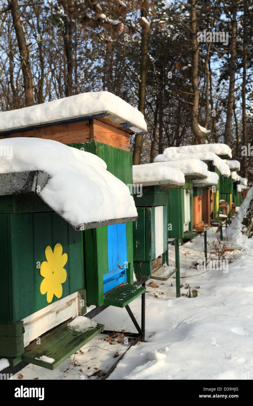 Bienenhaus mit hölzernen Bienenstöcken an einem sonnigen Wintertag, männliche Karpaty, Slowakei. Stockfoto