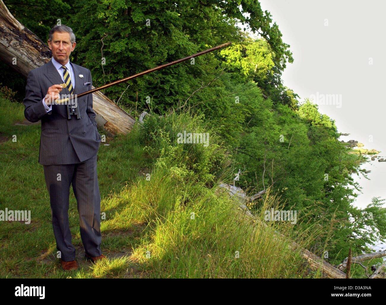 (Dpa) - der Prinz von Wales weist darauf hin etwas mit seinem Stock zu Fuß während eines Spaziergangs auf Vilm, eine kleine Insel Naturschutzgebiet von Rügen in der deutschen Ostsee, 11. Juni 2002. Der Anlass für seinen zweitägigen offiziellen Besuch in Deutschland ist die Gewährung der European Natural Heritage Fund 2002 Umwelt Stockfoto