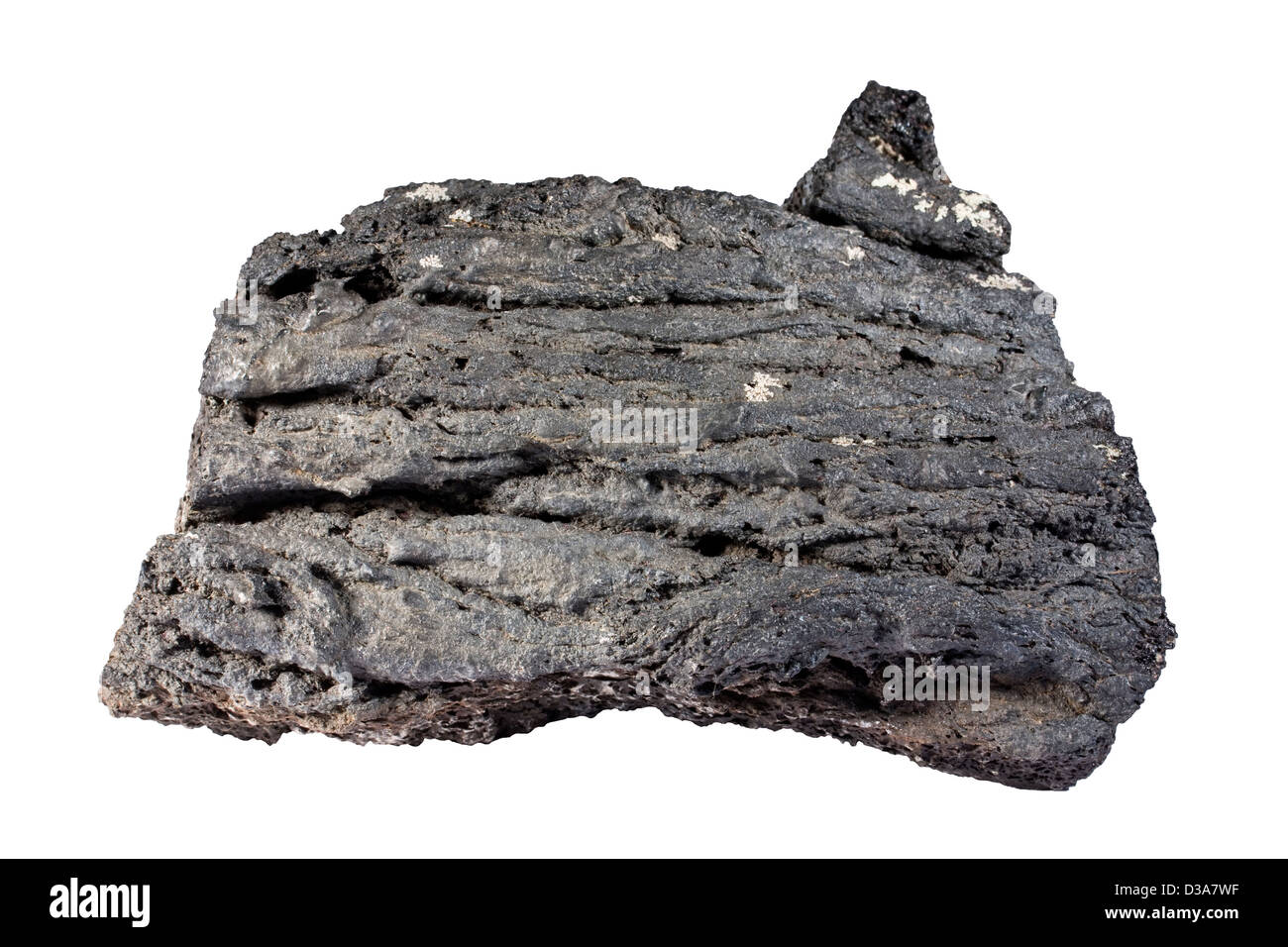 Pahoehoe-Lava Wespennest-fragment Stockfoto