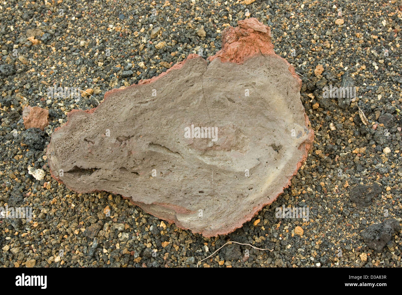 Vulkanische Bombe Stockfoto
