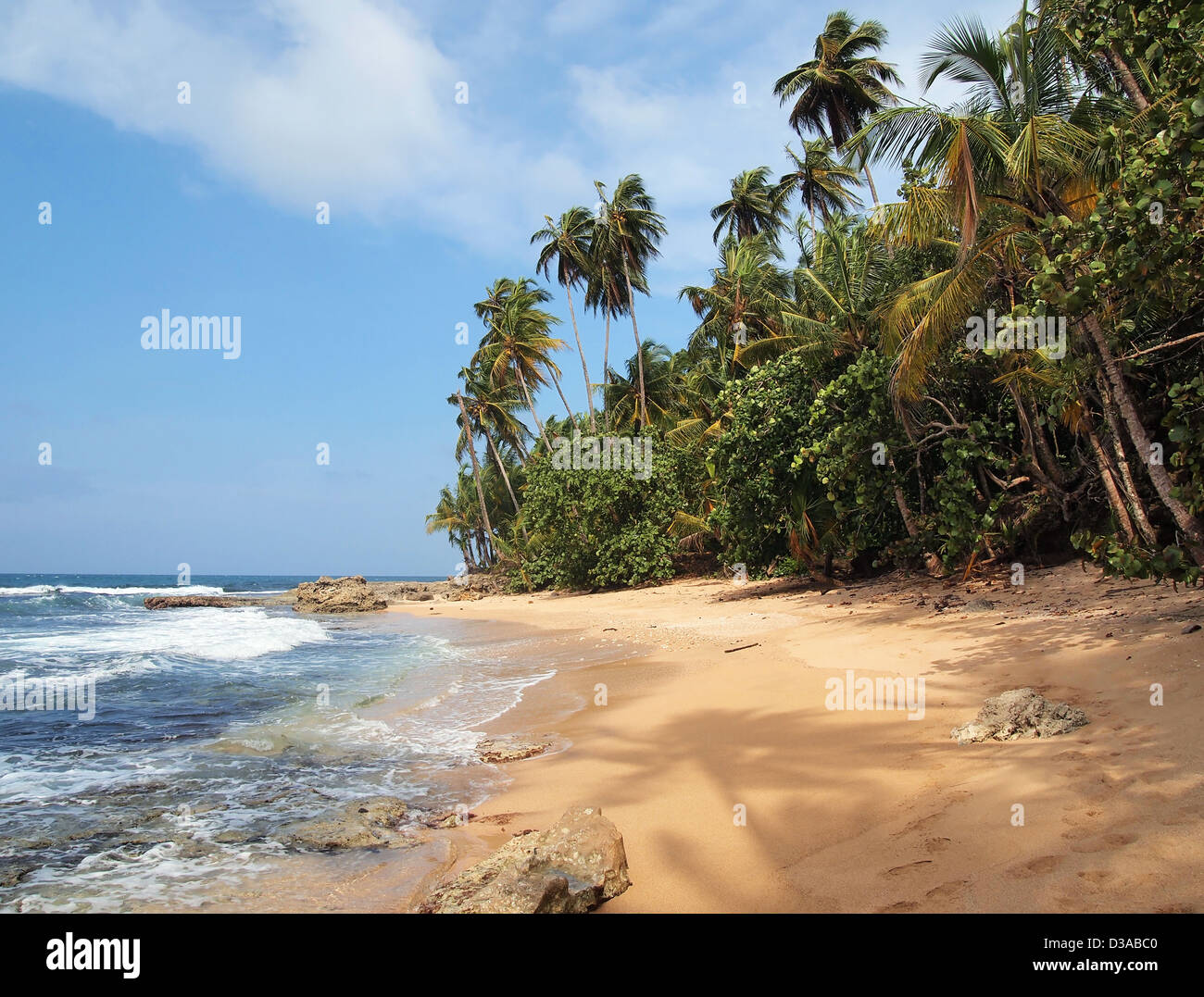 Unberührten tropischen Strand mit üppiger Vegetation und einem Schirm aus einer Kokospalme auf dem sand Stockfoto