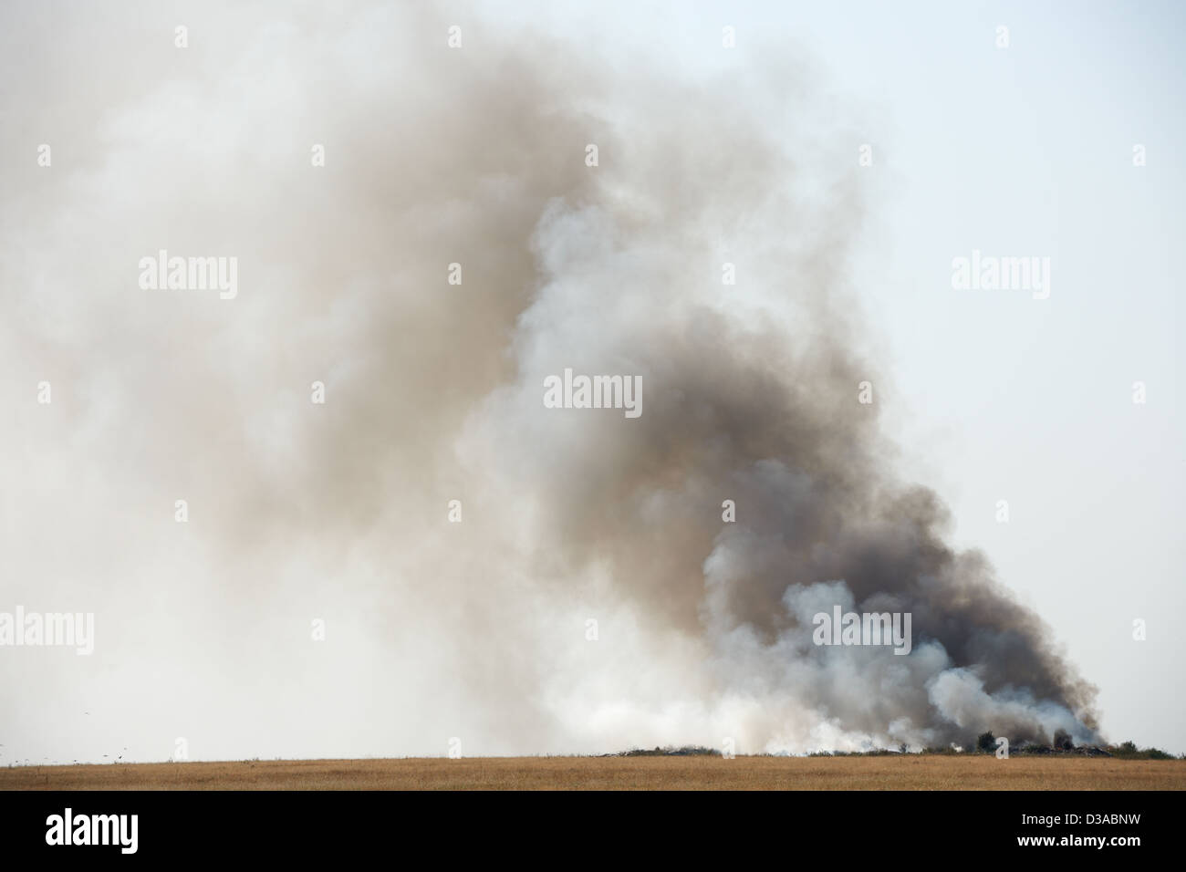 Giftige schwarze Rauch vom Feuer Misthaufen emittierende Gift in der Luft Stockfoto