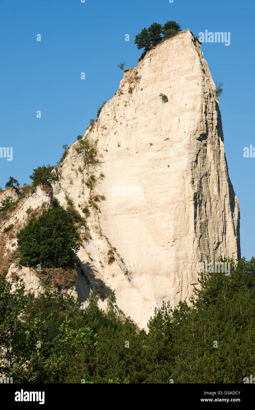 Stein-Phänomen in Melnik, Bulgarien, rockt Kalkstein über Pinien Stockfoto