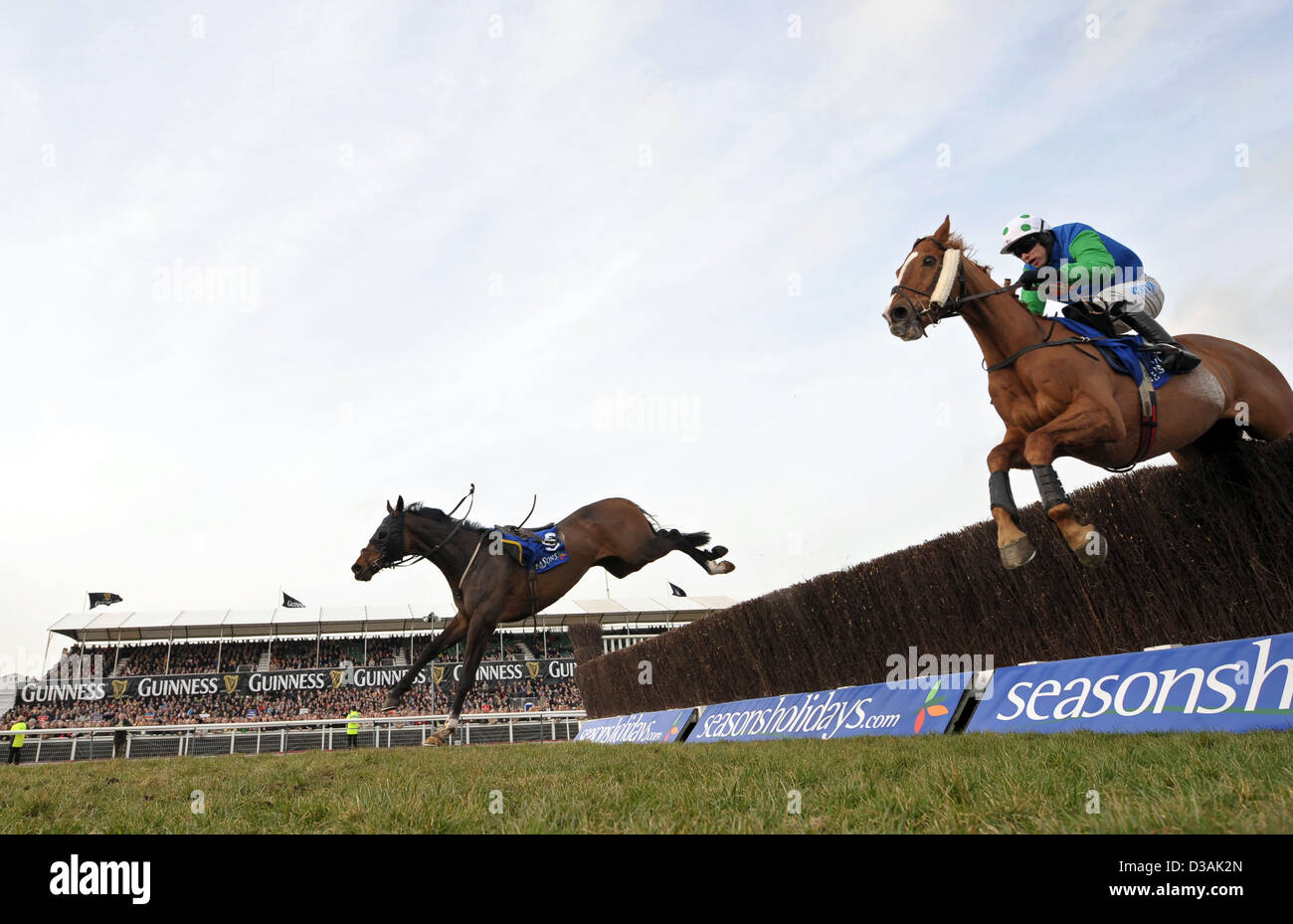 Einen Zaun springen Pferde während des Cheltenham Festivals eine jährliche Pferd Renn-Veranstaltung in England Stockfoto